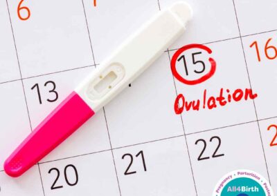 Freeflow – The Menstrual Cycle Part 3: The Ovulatory Phase