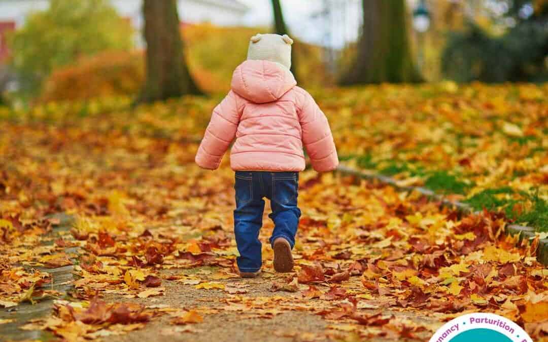 Freeflow- Autumn Outdoor Activities for Toddlers: Embracing Nature and Play