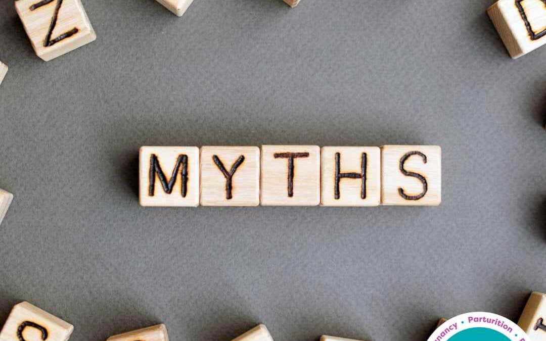 Factsheet- Pregnancy Myths Debunked: Separating Fact from Fiction