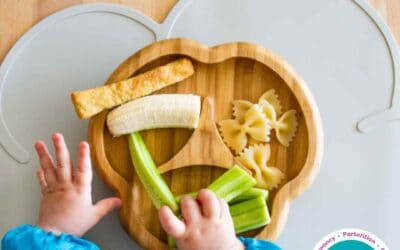 Factsheet-Baby-Led Weaning: A Brief Guide