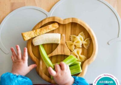 Factsheet-Baby-Led Weaning: A Brief Guide