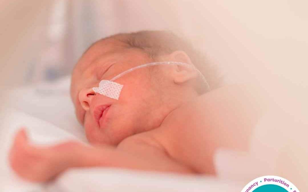 Freeflow- Establishing Breastfeeding with Premature Babies