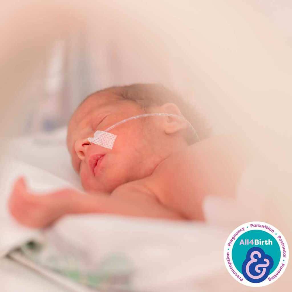 Freeflow- Establishing Breastfeeding with Premature Babies